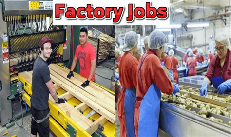 new zealand factory worker hiring poea|GENERAL MEAT PROCESSING WORKER Jobs in New .